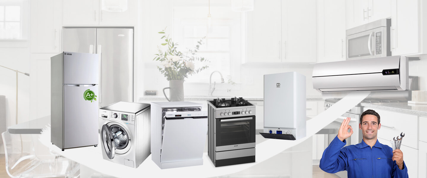 Iğdır Gaggenau Servisi